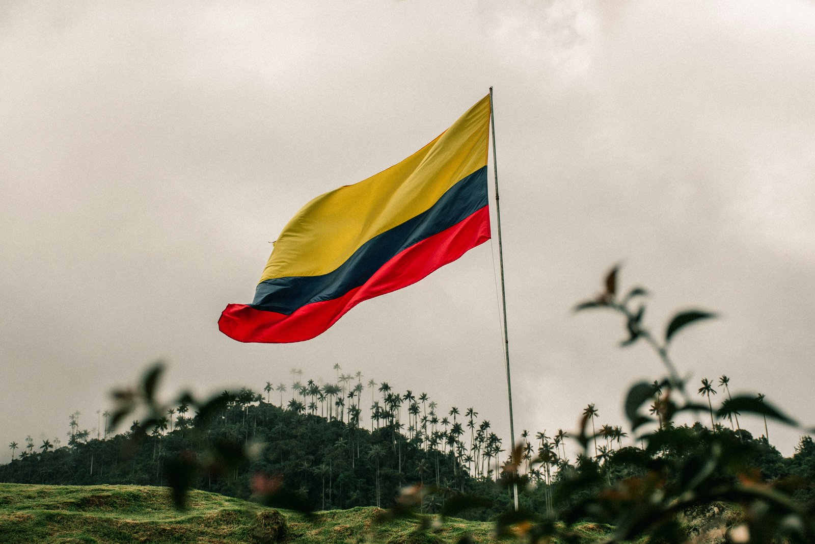 Advierten que Colombia se estanca en derechos humanos y piden defender los avances